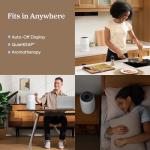 LEVOIT 3-in-1 Air Purifier for Home & Office