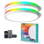 TALOYA 12-Inch RGB Smart Ceiling Lights, 2-Pack