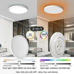 TALOYA 12-Inch RGB Smart Ceiling Lights, 2-Pack