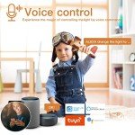 TALOYA 12-Inch RGB Smart Ceiling Lights, 2-Pack