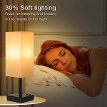 2-Pack Touch Lamp with USB Ports and Dimming