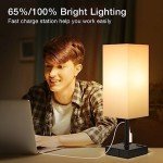 2-Pack Touch Lamp with USB Ports and Dimming