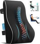 Qutool Memory Foam Lumbar Support Pillow for Office