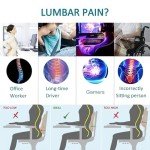 Qutool Memory Foam Lumbar Support Pillow for Office