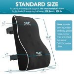 Qutool Memory Foam Lumbar Support Pillow for Office