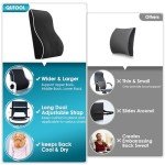 Qutool Memory Foam Lumbar Support Pillow for Office