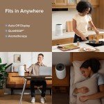 LEVOIT 3-in-1 Air Purifier for Home & Office