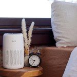 LEVOIT 3-in-1 Air Purifier for Home & Office