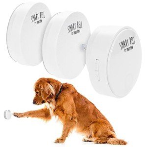 Mighty Paw Smart Dog Doorbell - 2 Button Set
