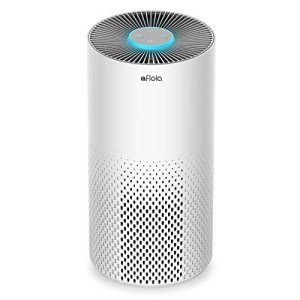 Air Purifier for Pets and Allergies, HEPA Filter