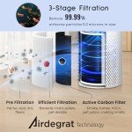 Air Purifier for Pets and Allergies, HEPA Filter