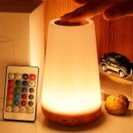 Portable Touch Control LED Table Lamp with USB Charger