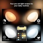 Philips Hue Go Smart Portable Color-Changing Lamp