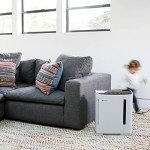 Brondell O2+ Revive Air Purifier & Humidifier