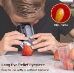 LED Pocket Microscope - 60x-120x Magnification