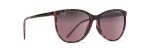 Maui Jim Women's Tortoise Cat Eye Sunglasses