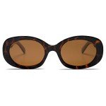 Retro Oval Polarized Sunglasses for Trendy Style