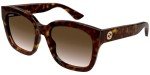 Gucci Havana/Brown Gradient Square Sunglasses