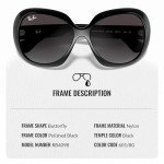 Ray-Ban Jackie Ohh II Butterfly Sunglasses Bundle