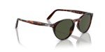 Persol Steve McQueen Round Sunglasses, Havana/Green