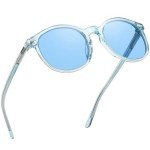 DUCO Retro Round Polarized Sunglasses - Blue Frame