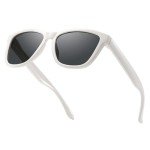 Dollger Retro Polarized Sunglasses with Gradient Lenses