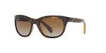 Ray-Ban RB4216 Women’s Square Sunglasses, Light Havana