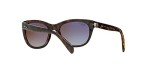 Ray-Ban RB4216 Women’s Square Sunglasses, Light Havana