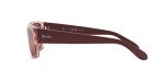 Ray-Ban RB4388 Polarized Square Sunglasses in Pink/Wine