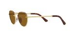 Persol Round Sunglasses in Gold/Brown - 51 mm