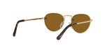 Persol Round Sunglasses in Gold/Brown - 51 mm