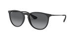 Ray-Ban Erika Round Polarized Sunglasses - Black/Grey