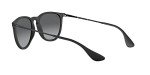 Ray-Ban Erika Round Polarized Sunglasses - Black/Grey