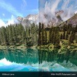 STNGR Black Smoke Aviator Sunglasses