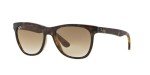 Ray-Ban Light Havana Square Sunglasses - 54 mm
