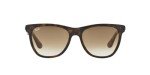 Ray-Ban Light Havana Square Sunglasses - 54 mm