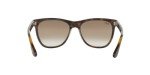Ray-Ban Light Havana Square Sunglasses - 54 mm