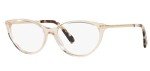 Valentino VA3066 Grey Transparent Sunglasses Frame 53mm