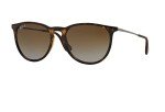 Ray-Ban Erika Round Polarized Sunglasses & Eyewear Kit