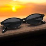 Trendy Y2K Retro Oval Sunglasses for Women