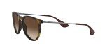 Ray-Ban RB4171 Multicolor Unisex Sunglasses