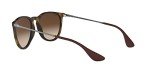 Ray-Ban RB4171 Multicolor Unisex Sunglasses