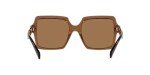 Versace Women's Transparent Brown Sunglasses 55MM