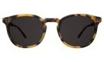 Illesteva Eldridge Matte Tortoise Grey Sunglasses