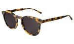 Illesteva Eldridge Matte Tortoise Grey Sunglasses