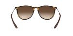 Ray-Ban RB4171 Multicolor Unisex Sunglasses