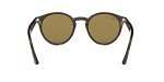 Ray-Ban RB2180 Round Light Havana Sunglasses