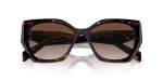 Prada Tortoise Butterfly Sunglasses with Gradient Lens
