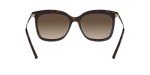 Michael Kors Dark Tortoise Sunglasses with Gradient Lens