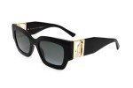 Jimmy Choo Nena/S Black Gold Women's Sunglasses
